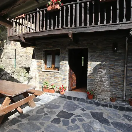 Madreselva * Navelgas