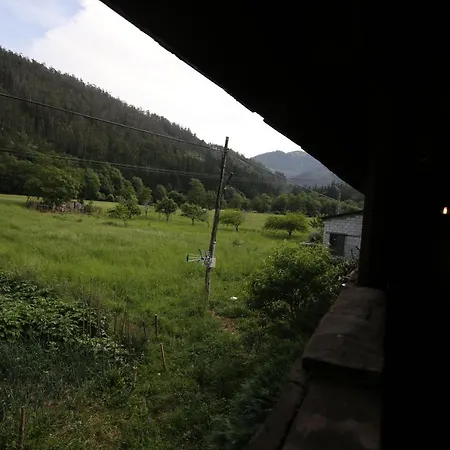 Madreselva * Navelgas